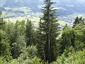 AUS05062009 (86)